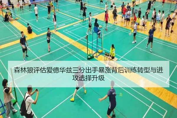 森林狼评估爱德华兹三分出手暴涨背后训练转型与进攻选择升级